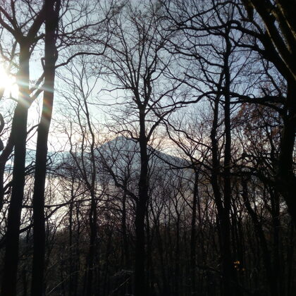 Výhled na Milešovku cestou na Kletečnou