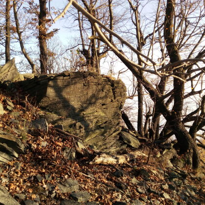 Skála pod vrcholem Kletečné