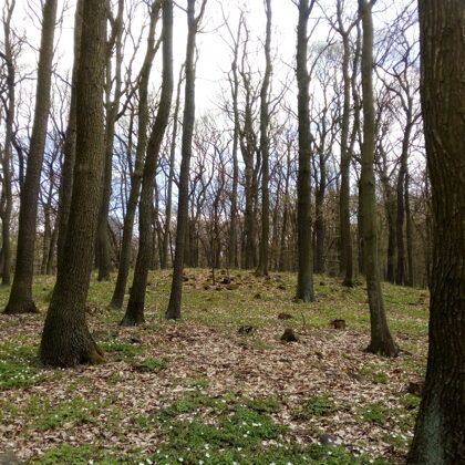 Les cestou na Lovoš