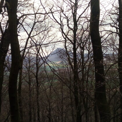 Výhled na Milešovku cestou na Lovoš