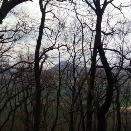 Výhled na Milešovku cestou na Lovoš