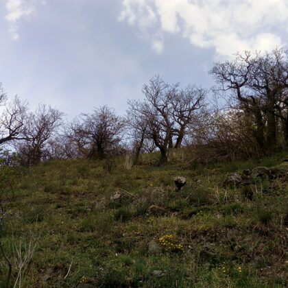 Skalka cestou na Lovoš